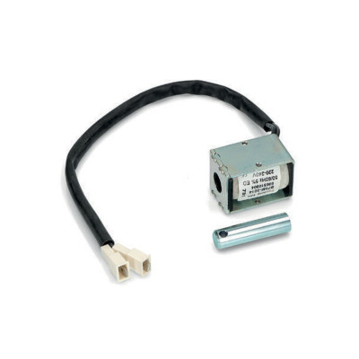 Electroiman 220 V