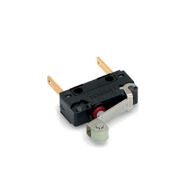 Microinterruptor Burguess
